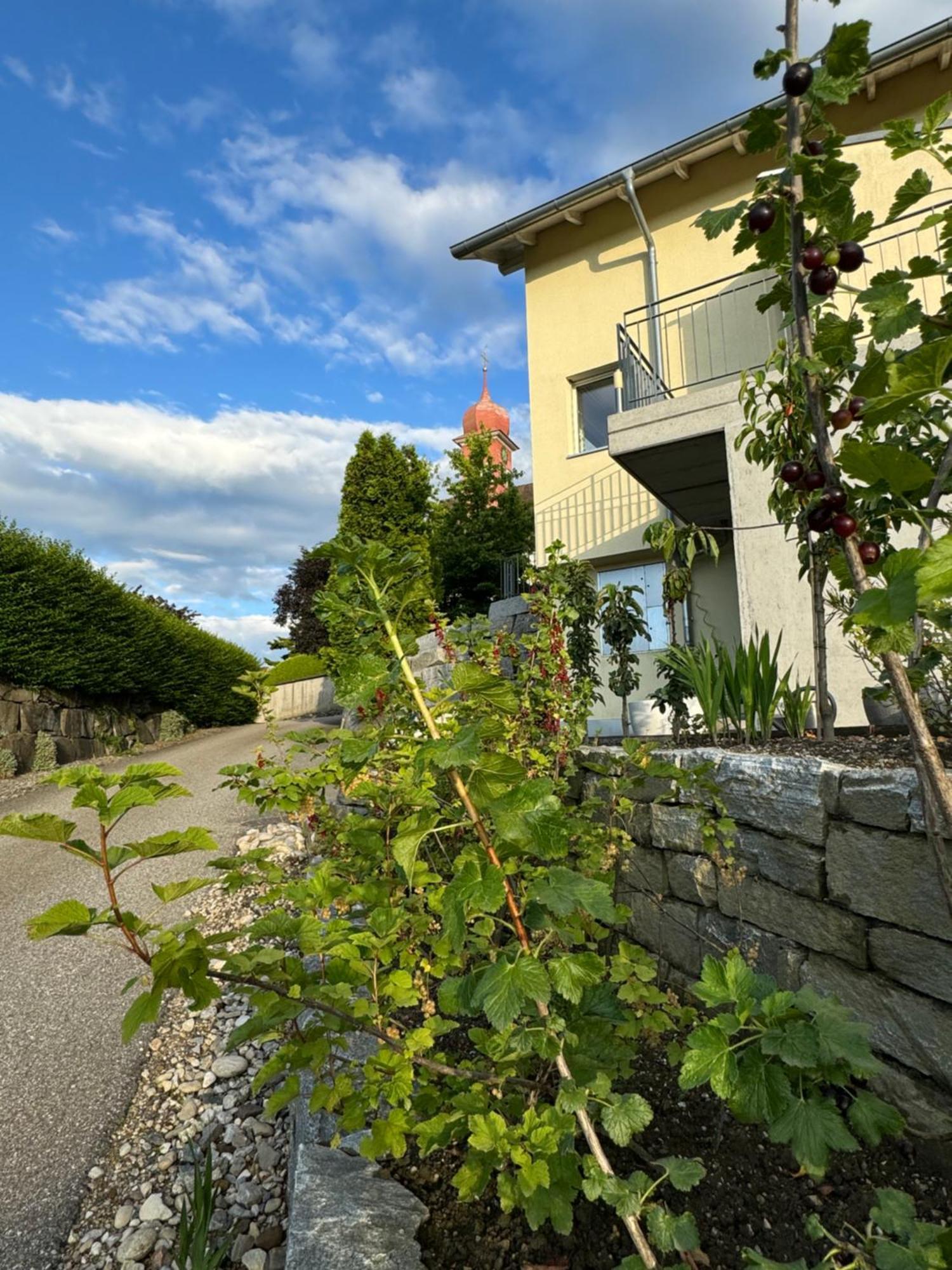Villa Modern Ufhusen Exterior photo